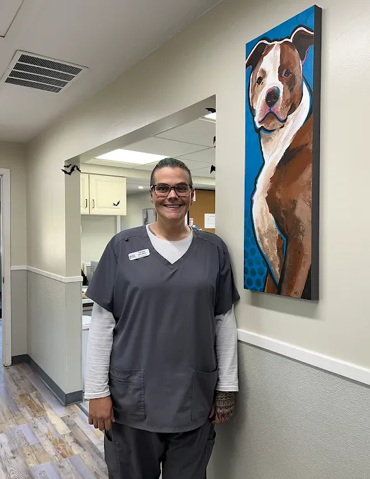 The Bridge Urgent Pet Care Picture 8