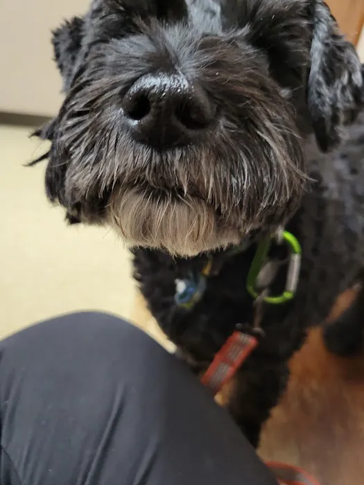 Whitehouse Animal Hospital Picture 3