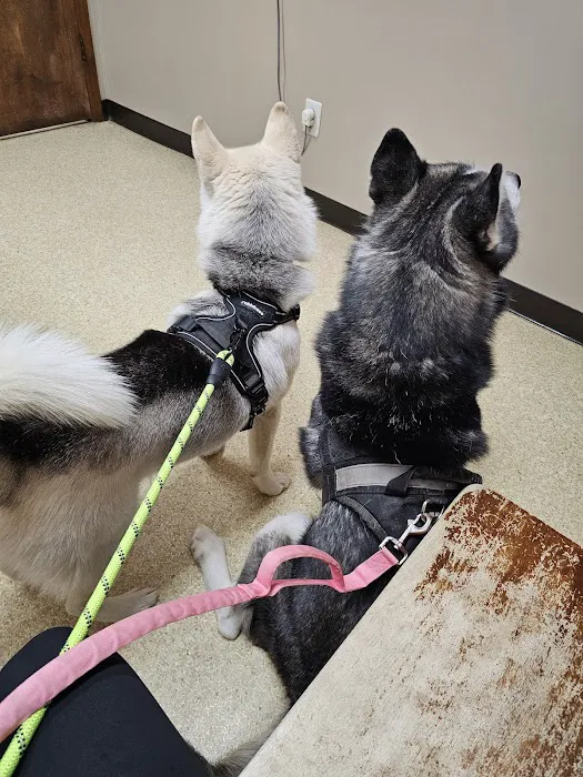 Whitehouse Animal Hospital Picture 4