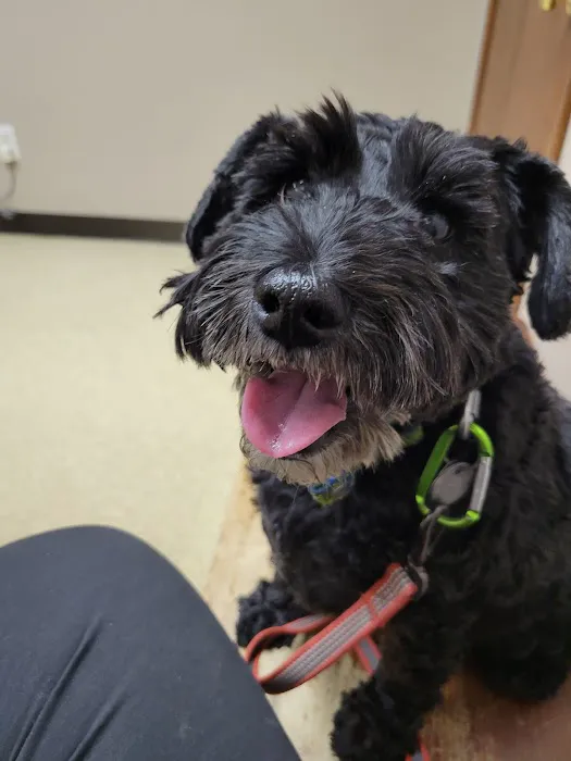 Whitehouse Animal Hospital Picture 10