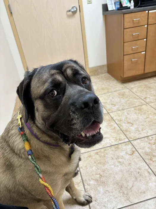 Veterinary Emergency Center Picture 10