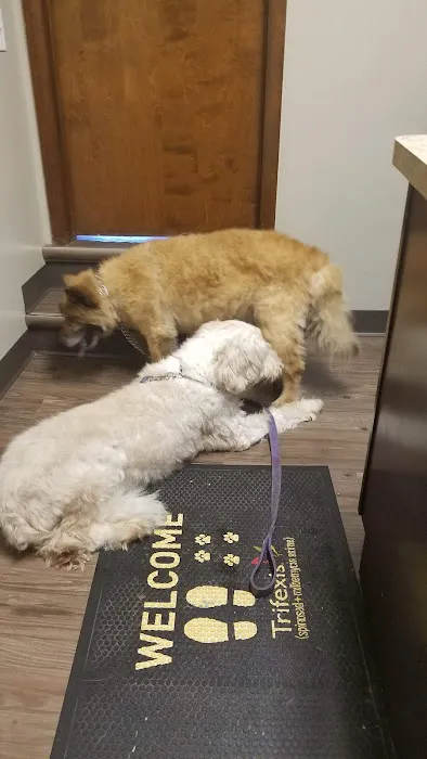 Heatherdowns Veterinary Clinic Picture 5