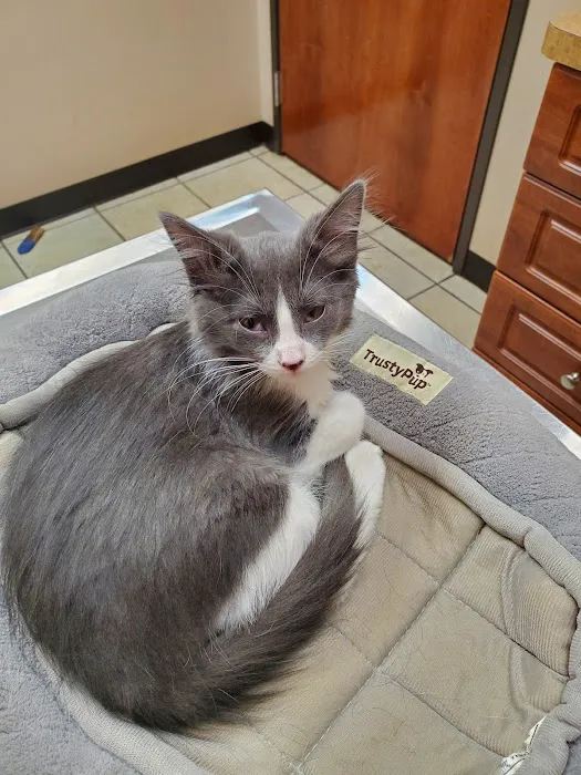 Alexis Road Animal Hospital Picture 1