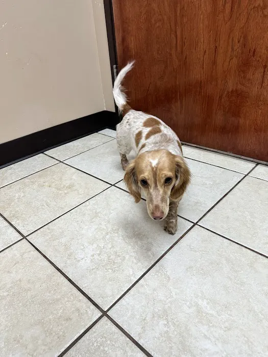Alexis Road Animal Hospital Picture 4
