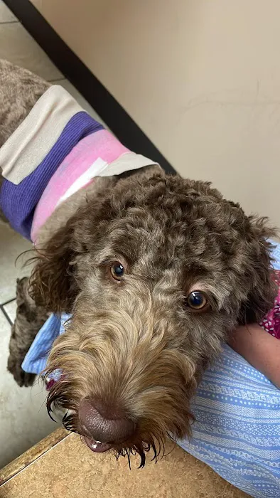 Alexis Road Animal Hospital Picture 7
