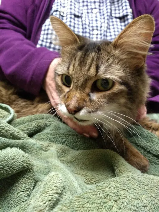 High Point Animal Hospital Inc Picture 6