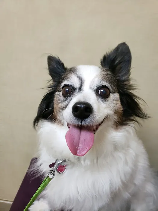 High Point Animal Hospital Inc Picture 9