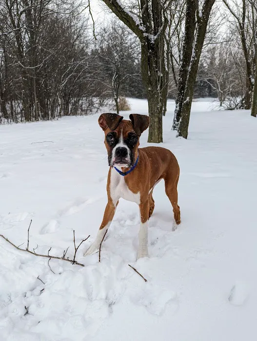 High Point Animal Hospital Inc Picture 8