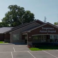 Temperance Animal Hospital ico
