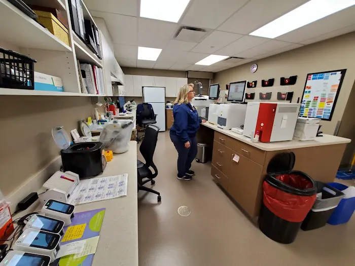 Temperance Animal Hospital Picture 3