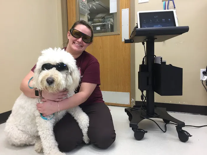 Temperance Animal Hospital Picture 4