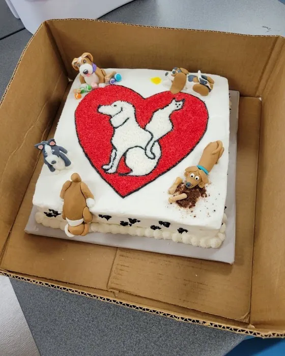 Temperance Animal Hospital Picture 7