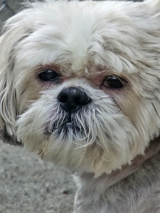 West Toledo Animal Hospital Picture 5
