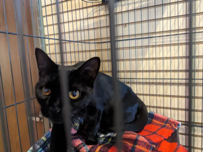 West Toledo Animal Hospital Picture 7