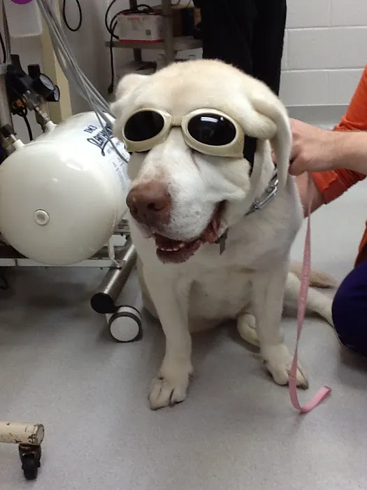 Graber's Animal Hospital Picture 3
