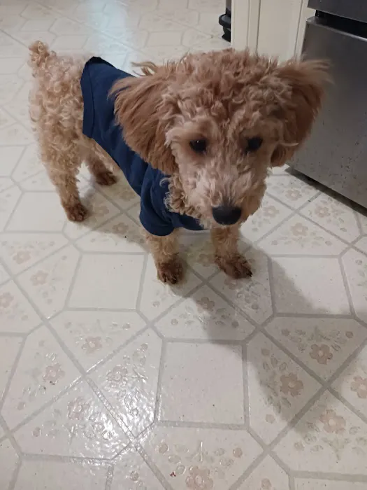 Graber's Animal Hospital Picture 4