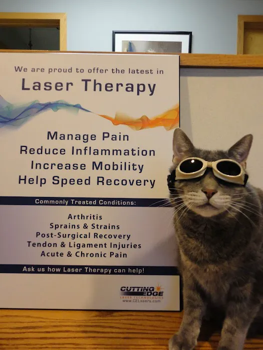 Graber's Animal Hospital Picture 6
