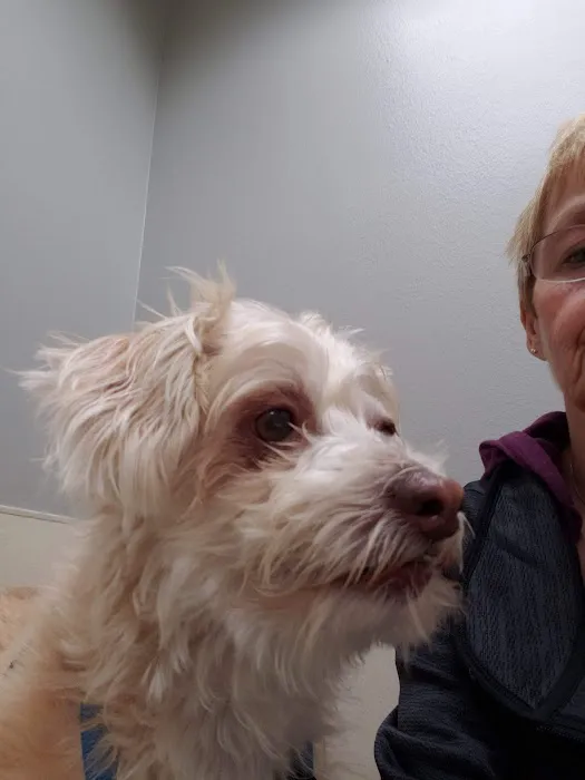 Graber's Animal Hospital Picture 9