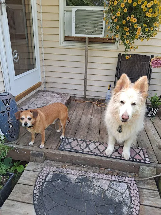 Lambertville Veterinary Clinic Picture 5