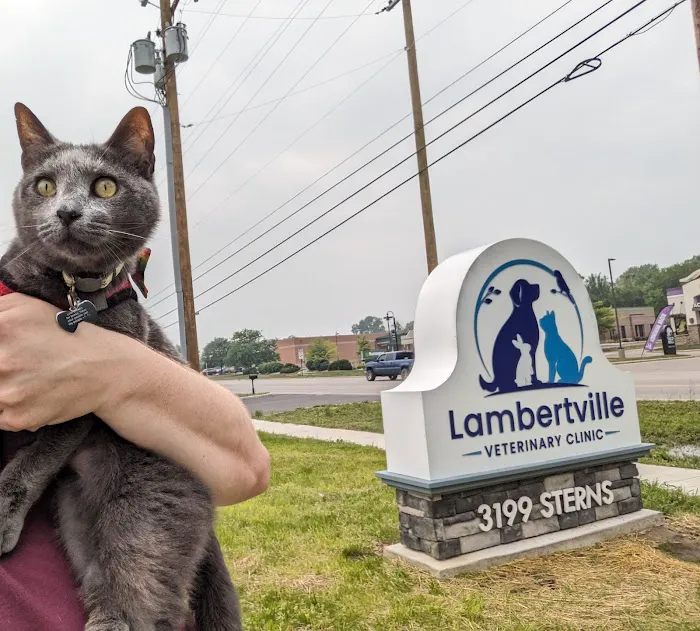 Lambertville Veterinary Clinic Picture 8