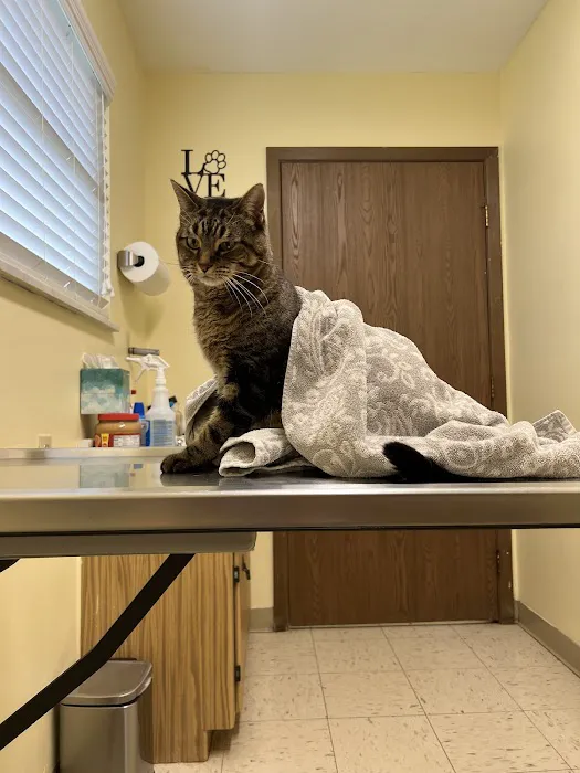 Lambertville Veterinary Clinic Picture 6
