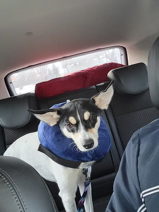 Humane Ohio Picture 1