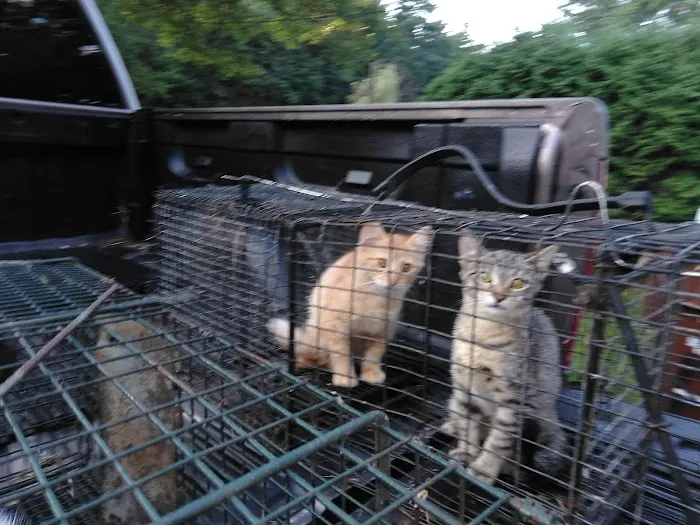 Humane Ohio Picture 7
