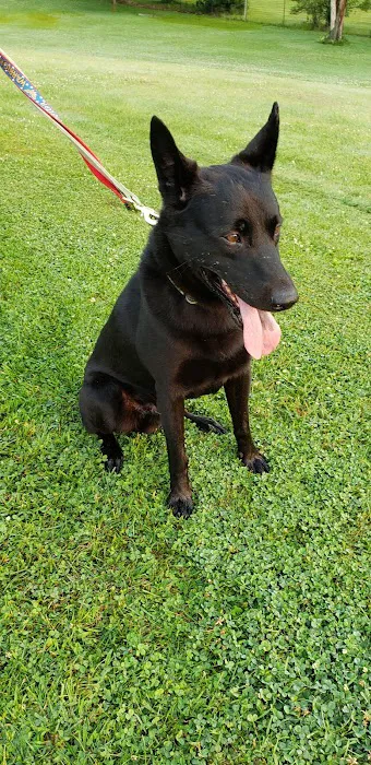 Humane Ohio Picture 8