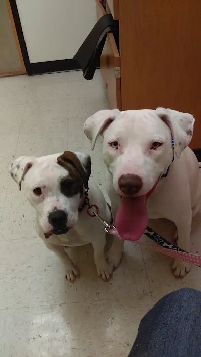 Banfield Pet Hospital Picture 7