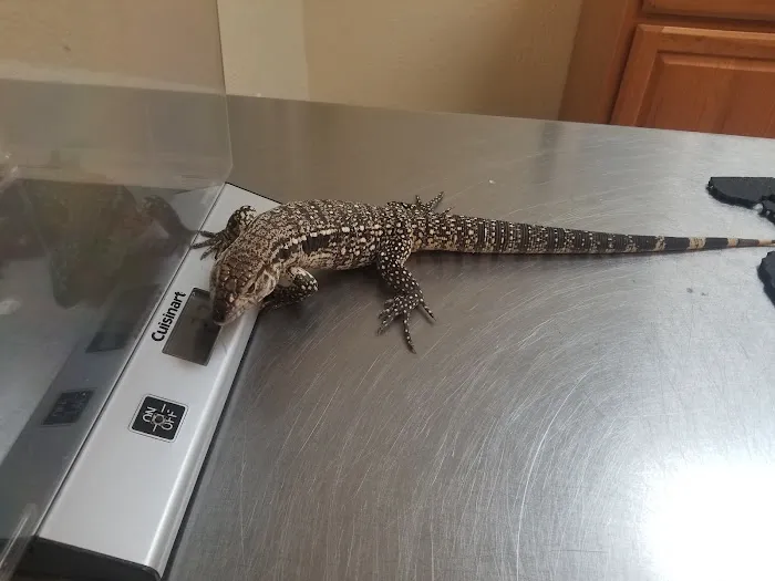 Bird & Exotic Pet Wellness Center Picture 1