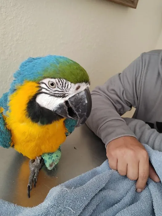 Bird & Exotic Pet Wellness Center Picture 3
