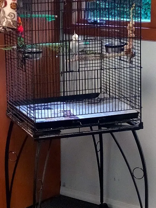 Bird & Exotic Pet Wellness Center Picture 6