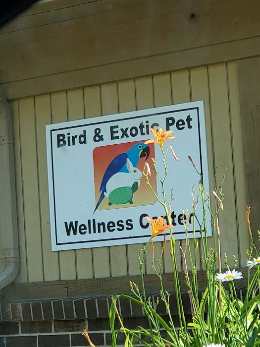 Bird & Exotic Pet Wellness Center Picture 9
