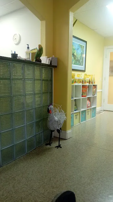 Bird & Exotic Pet Wellness Center Picture 8