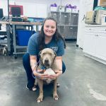 Animal Clinic of Woodruff