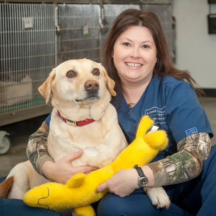 Animal Clinic of Woodruff Picture 6