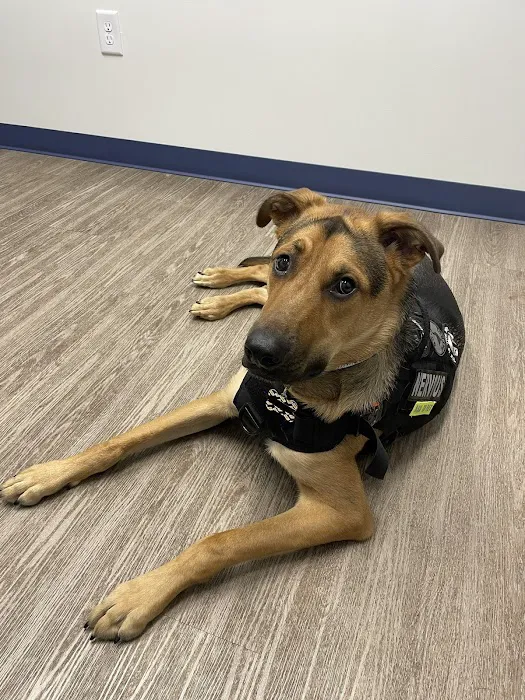 River’s Edge Animal Hospital Picture 2