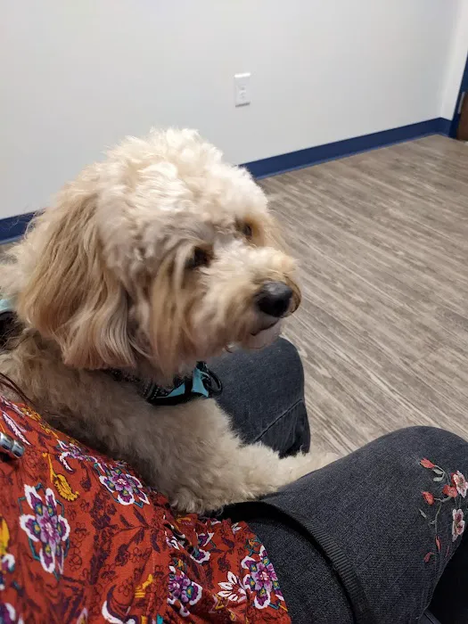 River’s Edge Animal Hospital Picture 1