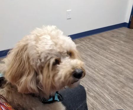 River’s Edge Animal Hospital