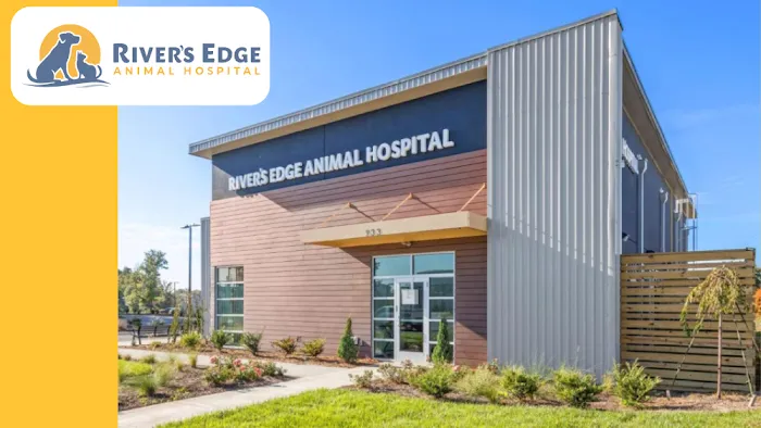 River’s Edge Animal Hospital Picture 3