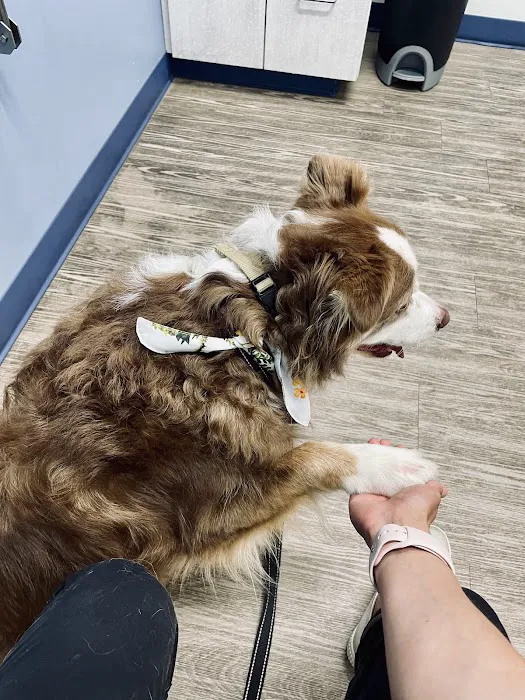 River’s Edge Animal Hospital Picture 5