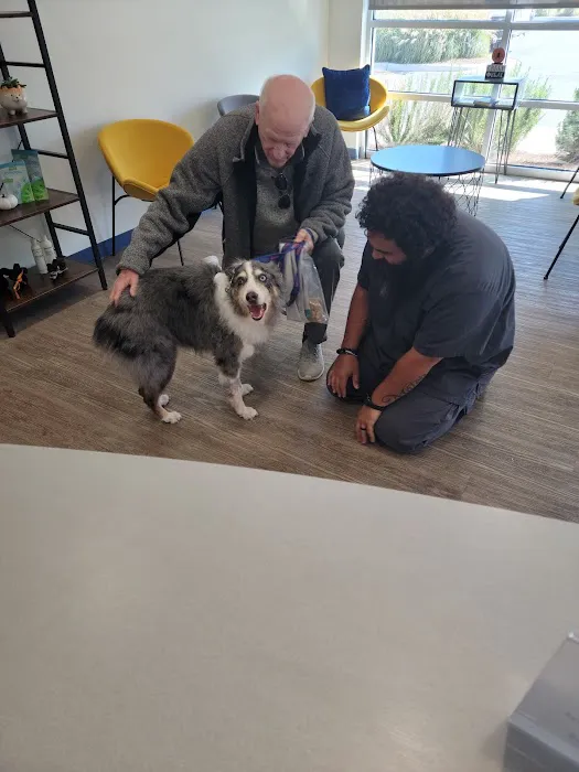River’s Edge Animal Hospital Picture 6