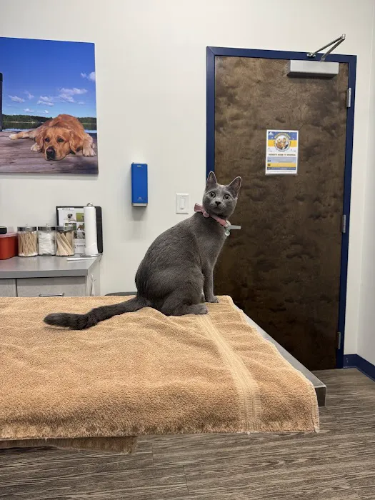 River’s Edge Animal Hospital Picture 9