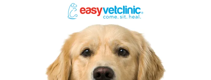 easyvet Veterinarian Fort Mill Picture 1