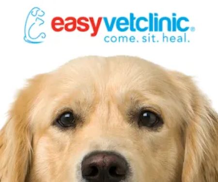 easyvet Veterinarian Fort Mill