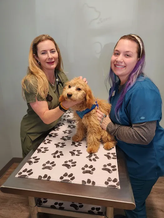 easyvet Veterinarian Fort Mill Picture 10