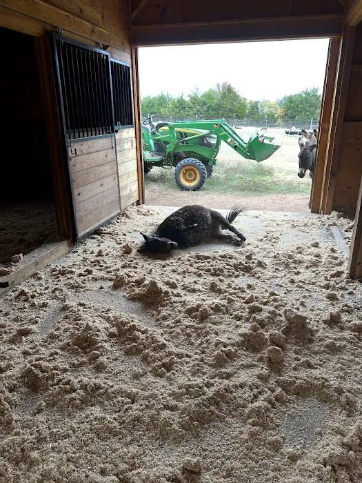 TopGun Veterinarian Service LLC Picture 1