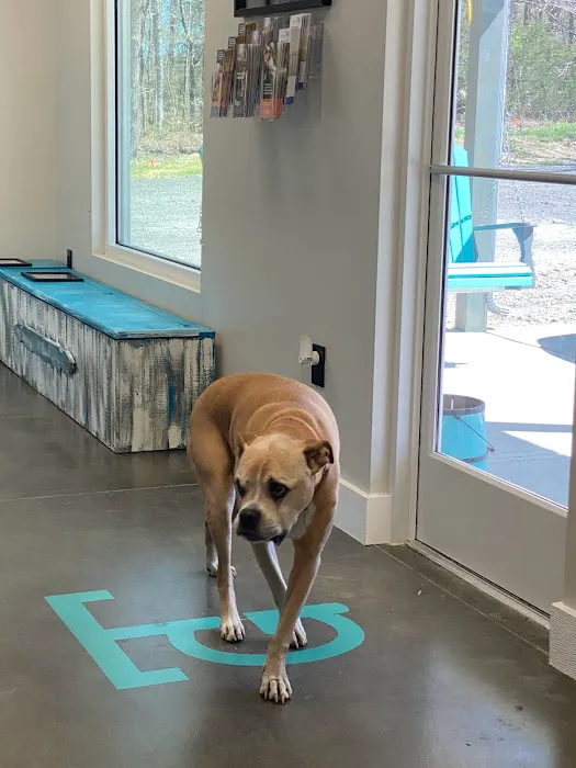 TopGun Veterinarian Service LLC Picture 5