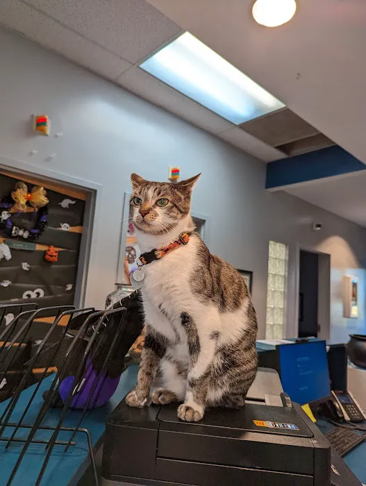 Ebenezer Animal Hospital Picture 5