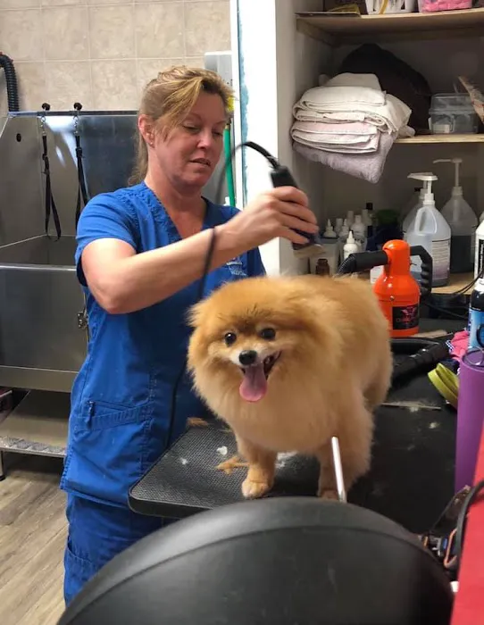 Ebenezer Animal Hospital Picture 10